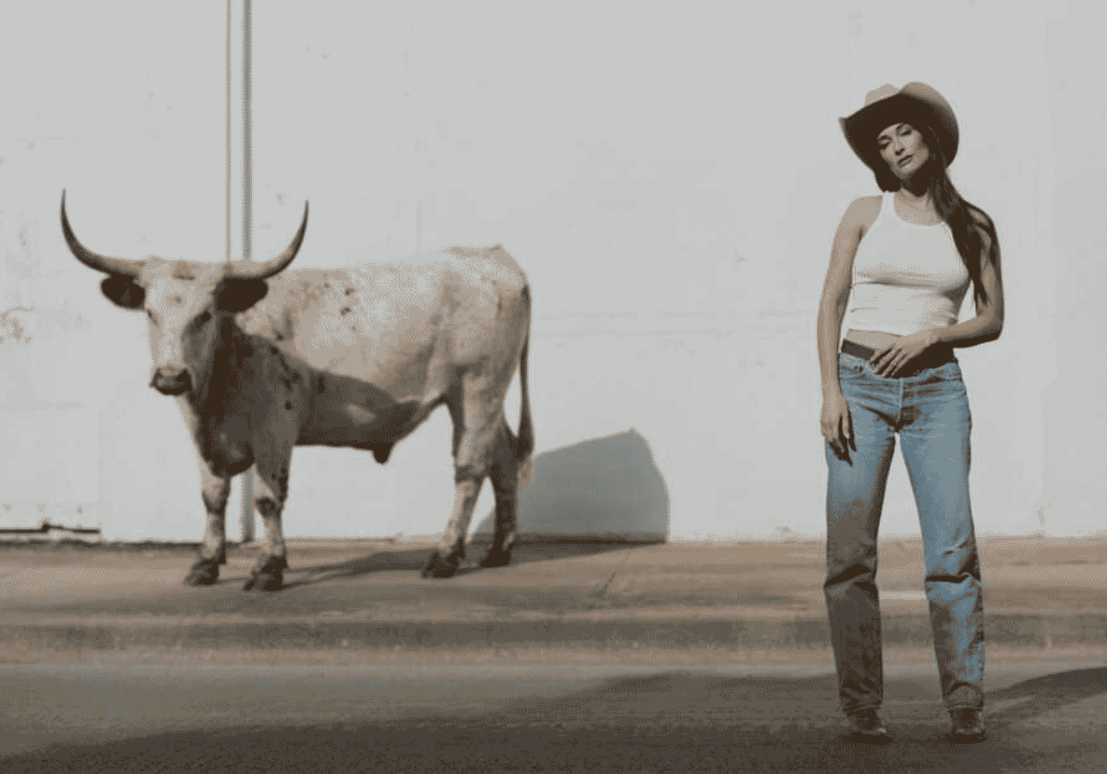 Kacey Musgraves fehér fal előtt egy texasi hosszúszarvú marhával