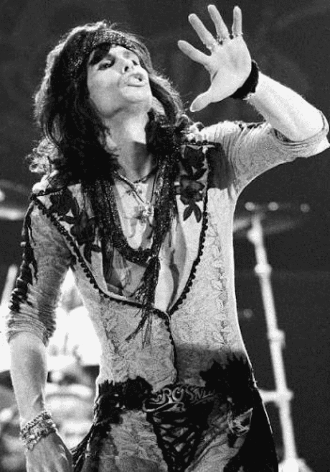 Steven Tyler fekete-fehér koncertfotón, felemelt kézzel